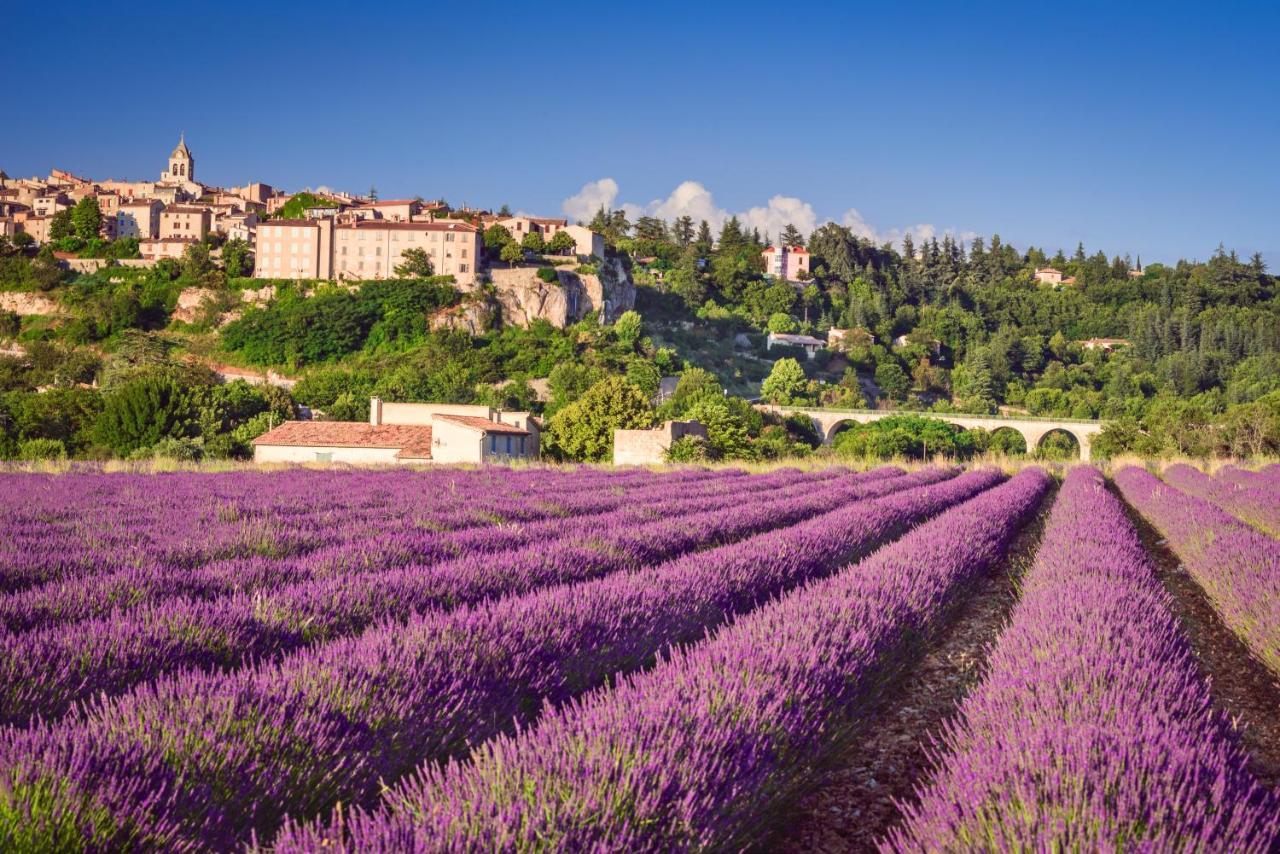 Provence Now Cabrieres-d'Avignon Exterior foto