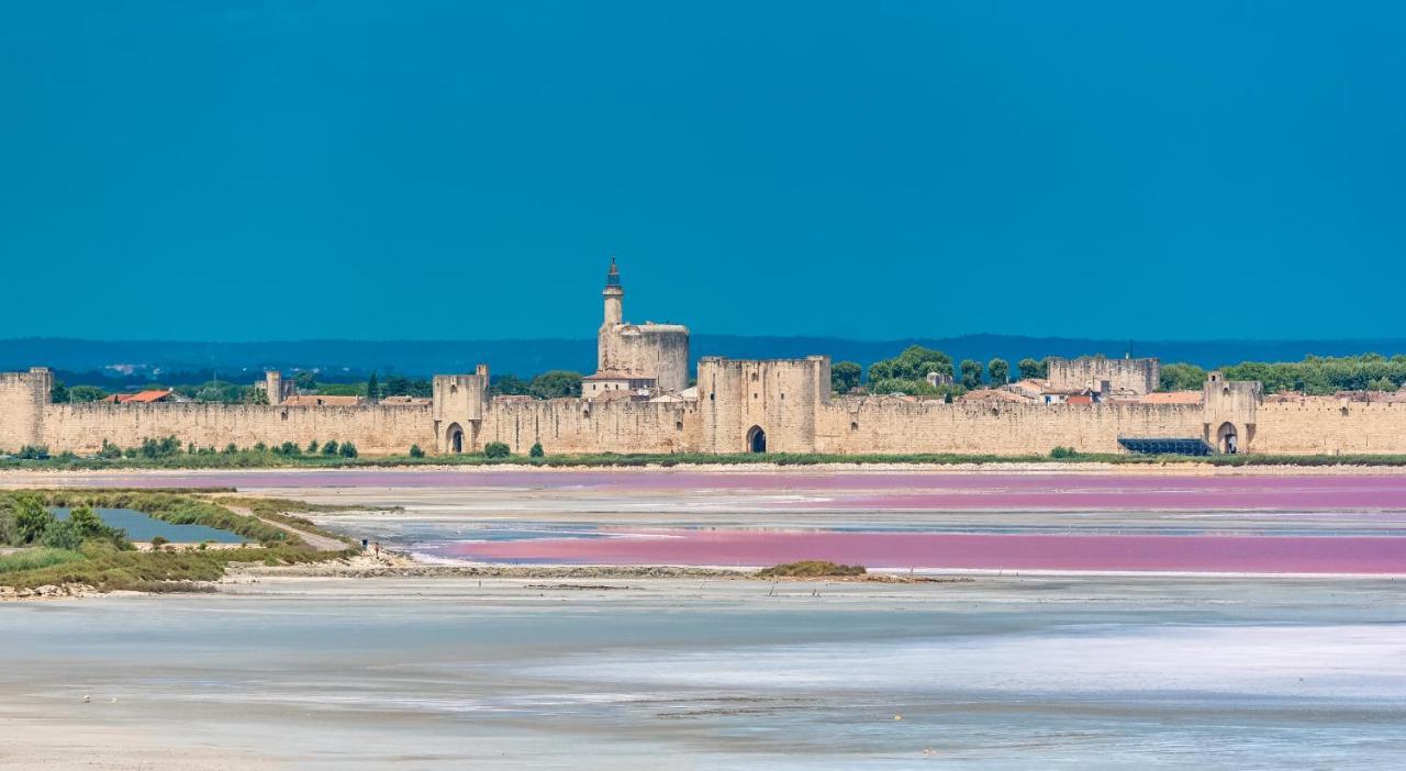 Provence Now Cabrieres-d'Avignon Exterior foto