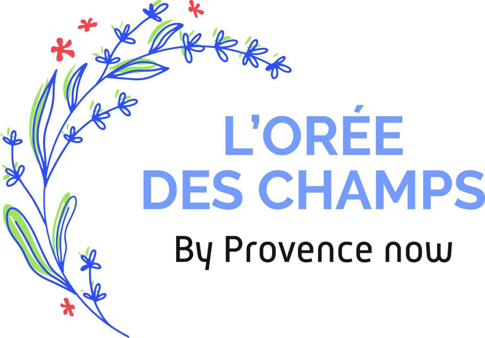 Provence Now Cabrieres-d'Avignon Exterior foto